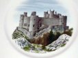 画像2: ウェッジウッド（Wedgewood）　プレート Watercolours of Castles… (2)