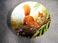 ロイヤルドルトン（Royal Doulton）　プレート　Red Squirrels on Branch　　箱付き　シリアルナンバー入り