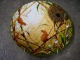 画像1: ロイヤルドルトン（Royal Doulton）　　ウォールプレート  Harvest Mice at their Nest　箱付き　シリアルナンバー入り (1)