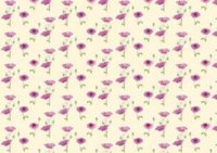 壁紙  Poppy Wallpaper