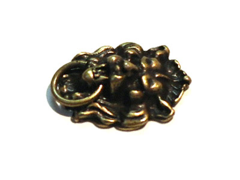 画像3: ドア・ノッカー　ライオン・ヘッド (3)