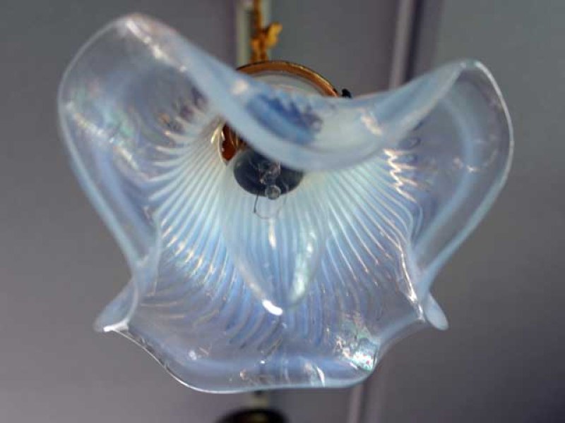 画像2: シェード　ホワイト (2)