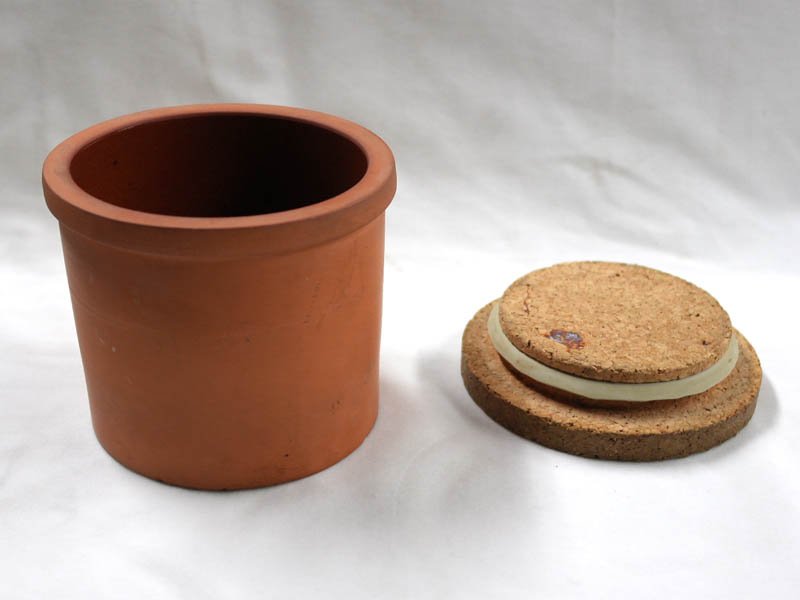 画像5: テラコッタ　キヤニスター　Sugar (5)