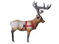 トナカイの”ルドルフ"君