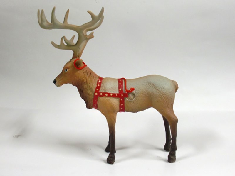 画像2: トナカイの”ルドルフ"君 (2)