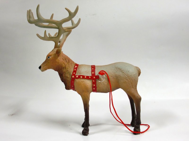 画像3: トナカイの”ルドルフ"君 (3)