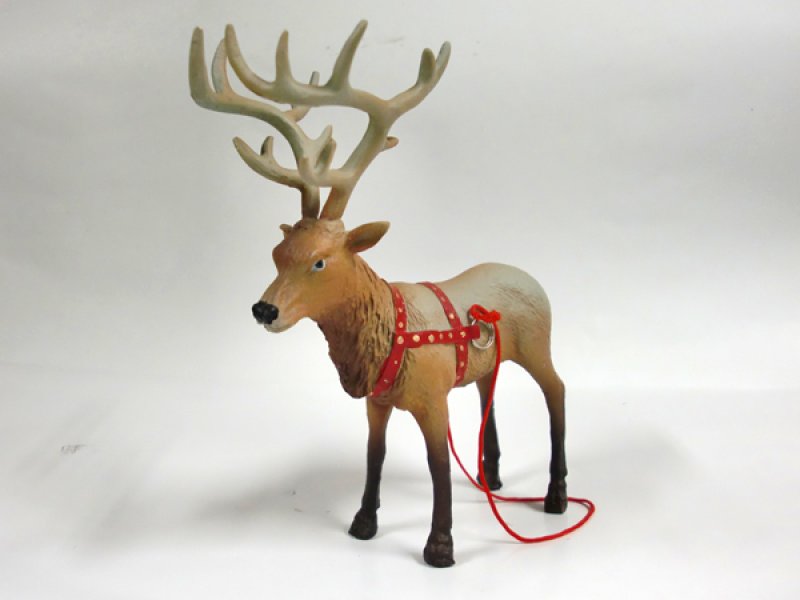 画像4: トナカイの”ルドルフ"君 (4)