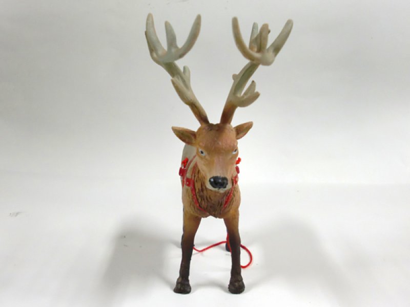 画像5: トナカイの”ルドルフ"君 (5)