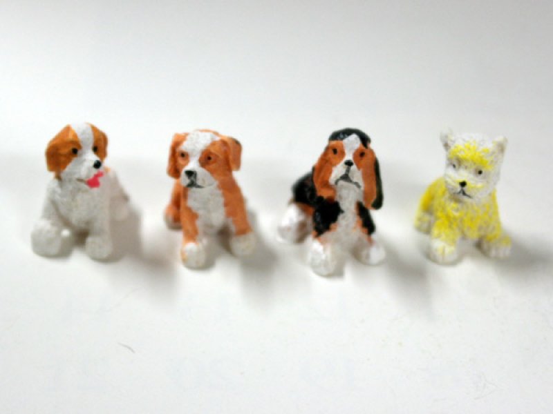 画像3: 子犬4匹セット (3)