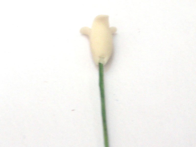 画像3: チューリップ　1本 (3)