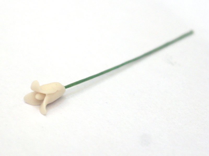 画像4: チューリップ　1本 (4)