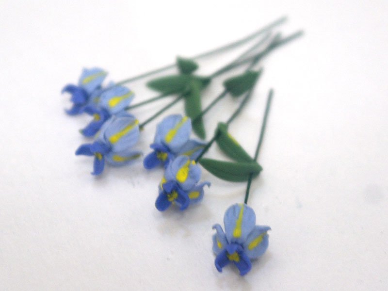 画像4: アイリス（アヤメ）1本 (4)