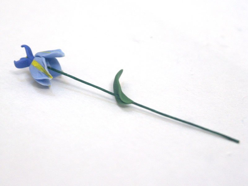 画像3: アイリス（アヤメ）1本 (3)