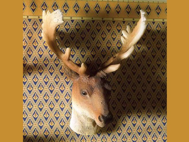 画像1: 牡鹿ヘッド (1)