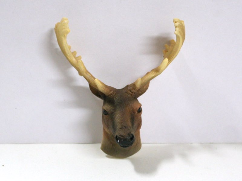 画像5: 牡鹿ヘッド (5)