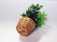 画像4: バスケット入りプラント (4)