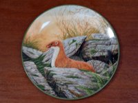 ロイヤルドルトン（Royal Doulton）　　ウォールプレート  A　stoat on the Alert　箱付き　シリアルナンバー入り