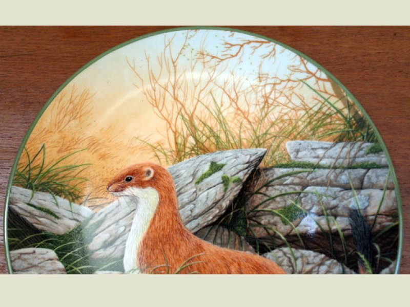 画像5: ロイヤルドルトン（Royal Doulton）　　ウォールプレート  A　stoat on the Alert　箱付き　シリアルナンバー入り (5)
