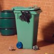 画像8: キャスター付ゴミ箱　グリーン (8)
