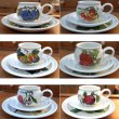 画像1: カップ＆ソーサー・プレート　６客セット　ポートメリオン/Portmeirion ポモナ/Pomona (1)