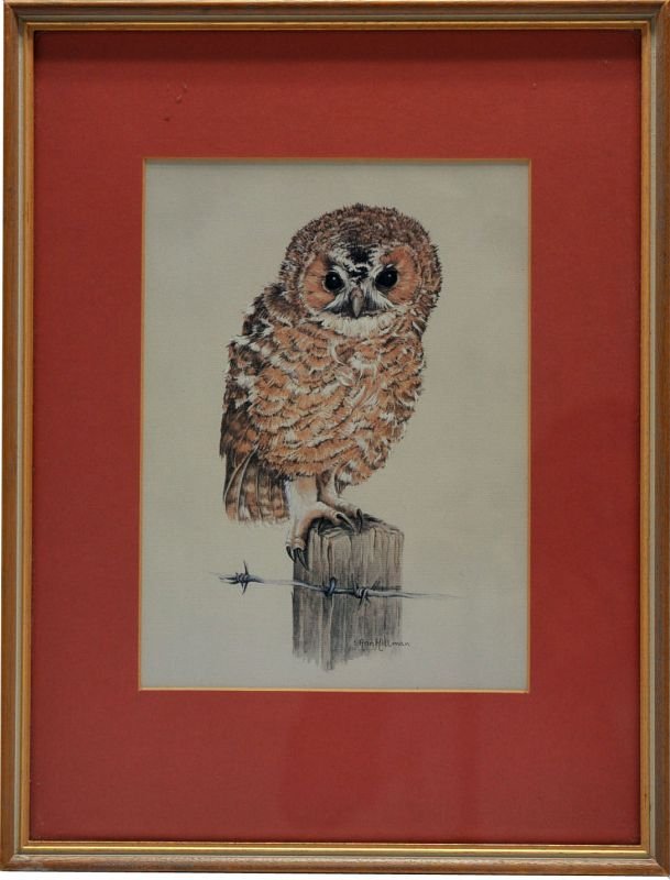 画像2: 絵　フクロウ (2)