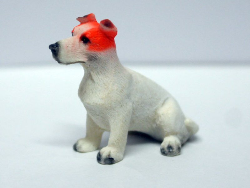 画像1: ペット　犬 (1)