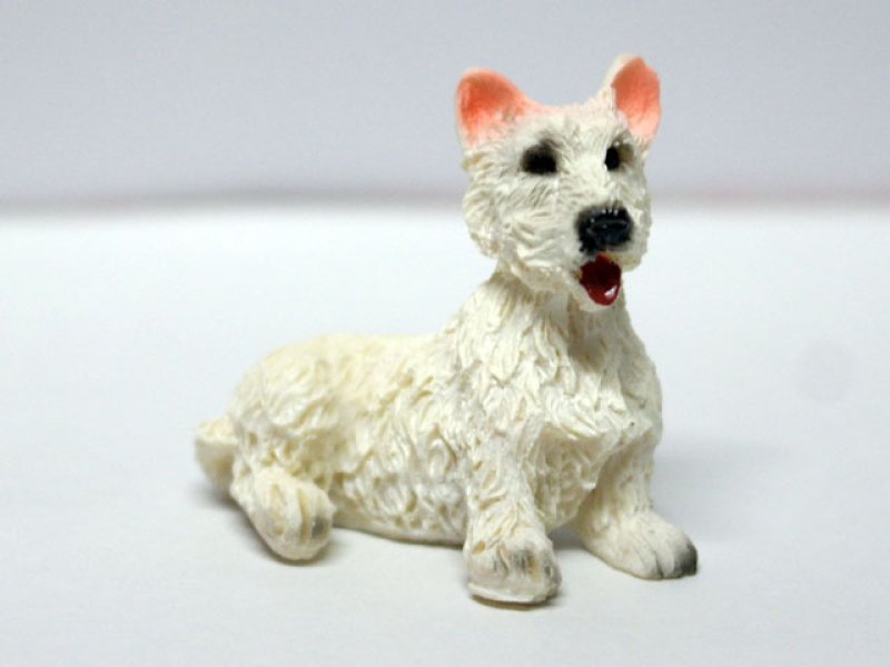 画像1: ペット　犬 (1)