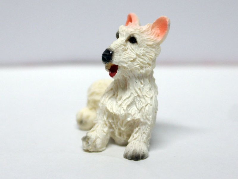 画像2: ペット　犬 (2)