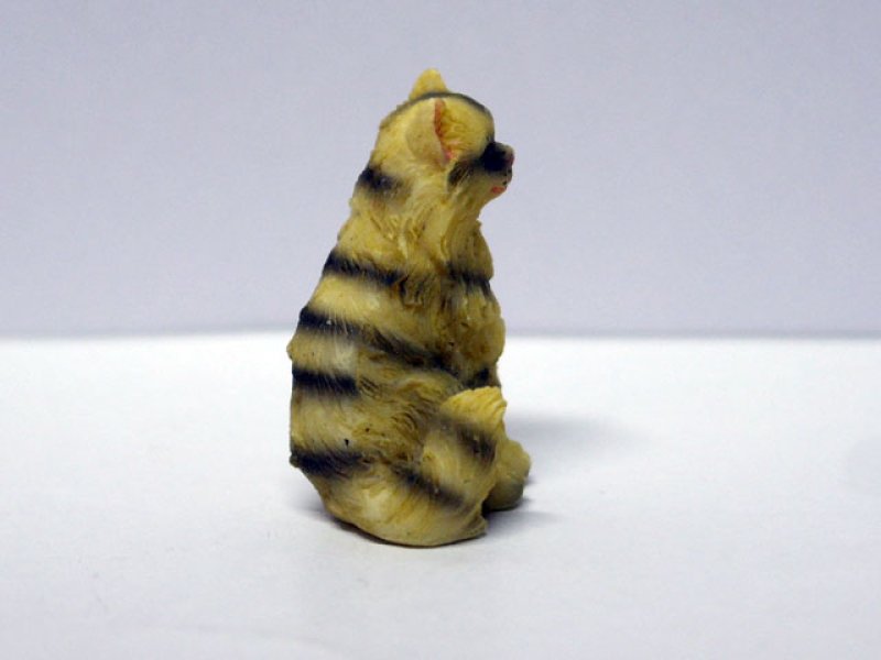 画像2: ペット　猫 (2)