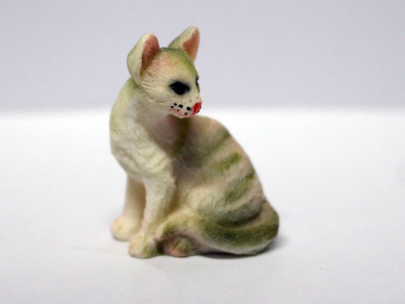 画像1: ペット　猫 (1)