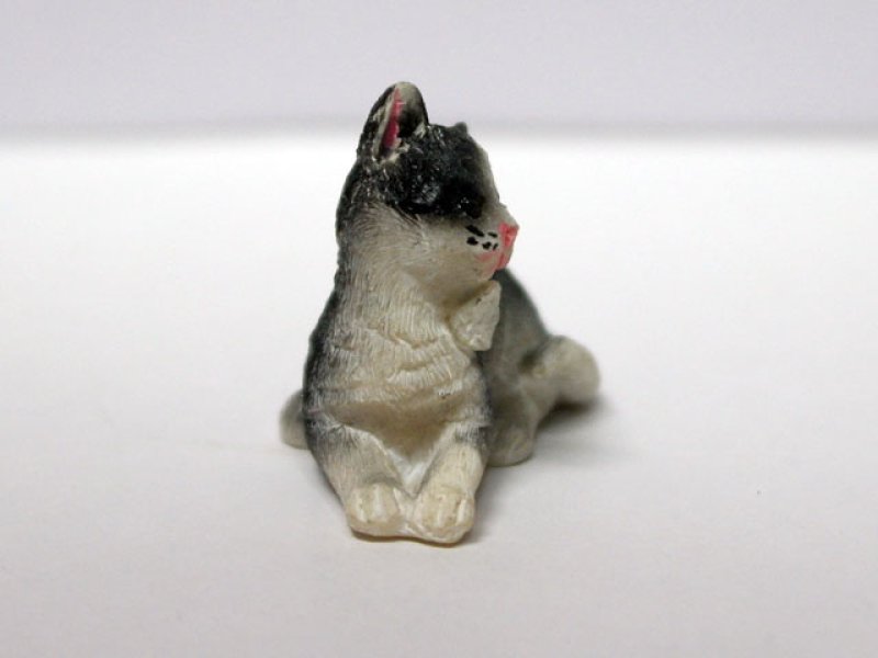 画像2: ペット　猫 (2)