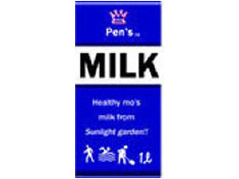 ミニチュア　1/12サイズのパッケージ