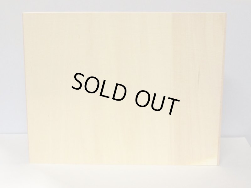 画像4: 未塗装　トリプル・シェルフ (4)