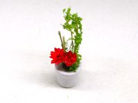 鉢植え花　赤