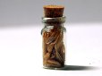 画像1: キッチン・ジャー(スパイス) 1個 (1)