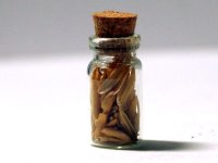 キッチン・ジャー(スパイス) 1個