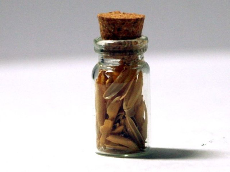 画像1: キッチン・ジャー(スパイス) 1個 (1)