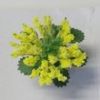 画像2: フラワー　イエロー　バスケット入り (2)