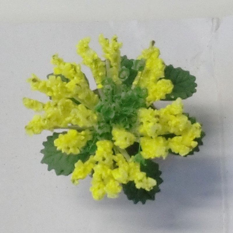 画像2: フラワー　イエロー　バスケット入り (2)