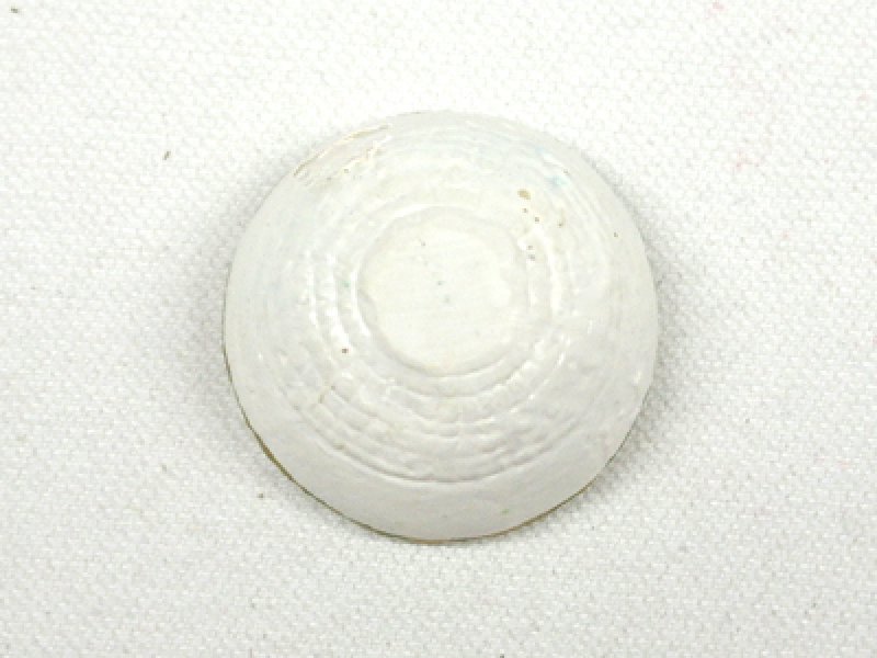 画像4: ボウル (4)