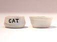 画像1: キャット用　フード＆ウォーター・ボウル（餌・水入れ） (1)