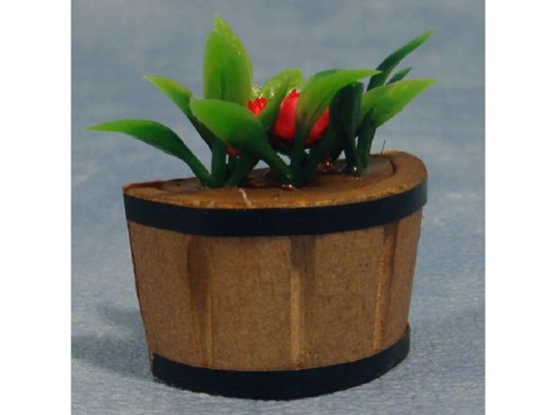 画像1: プラント・タブ (1)