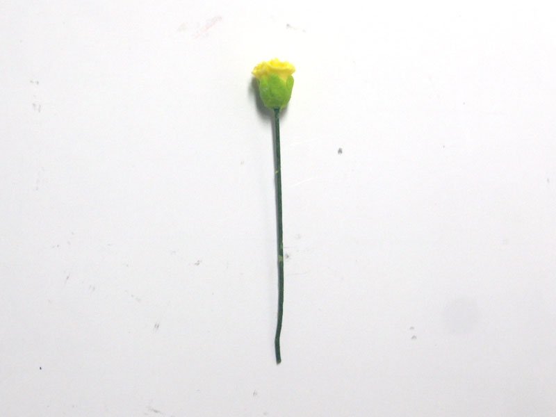 画像2: カーネーション　黄 (2)