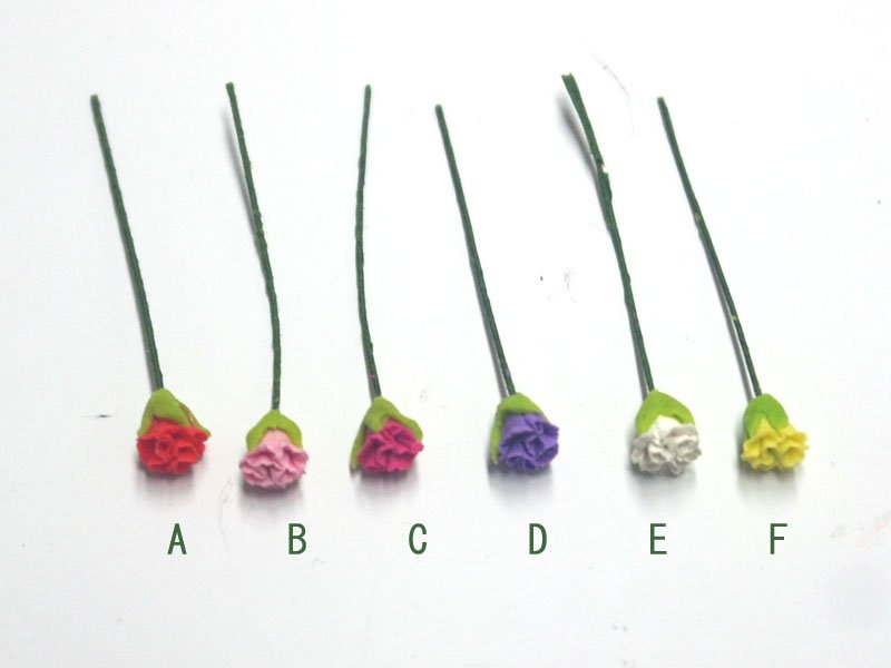 画像5: カーネーション　黄 (5)