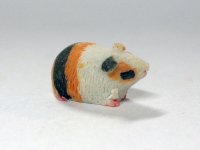 ギニー・ピッグ