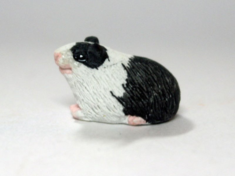 画像2: ギニー・ピッグ (2)