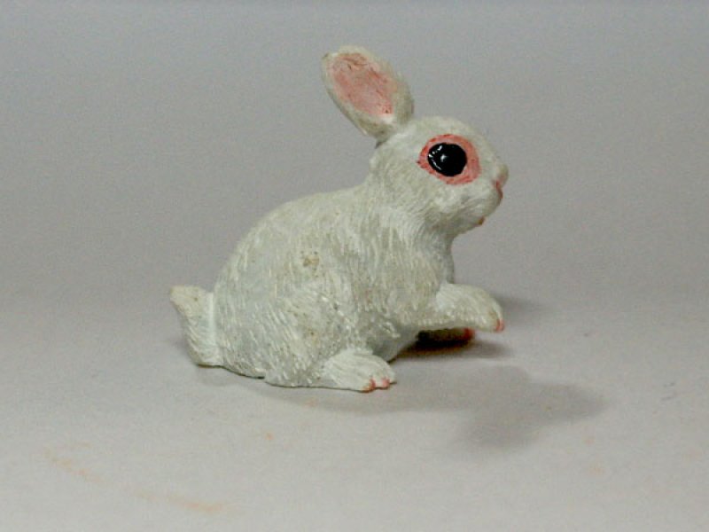 画像1: ラビット (1)