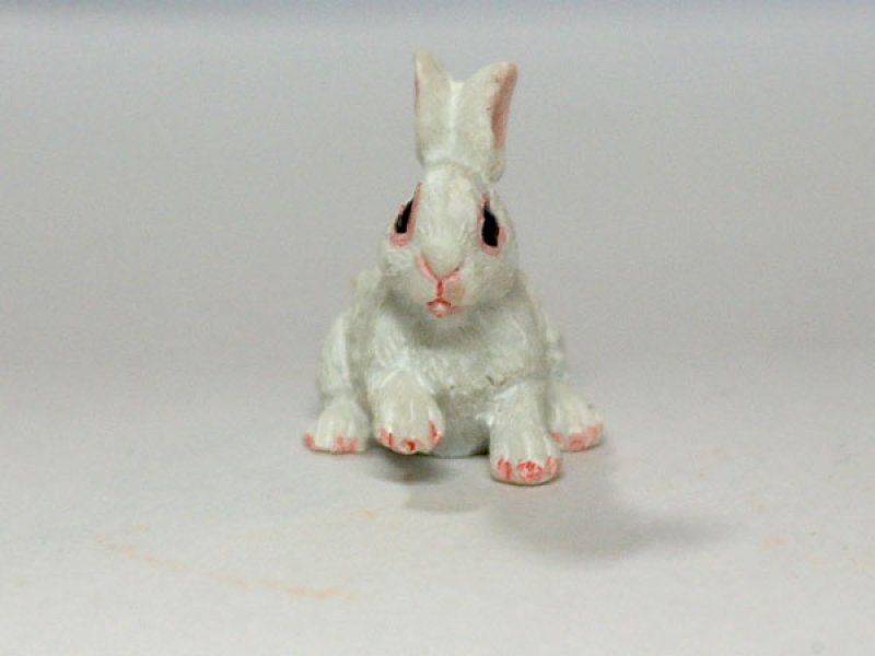 画像2: ラビット (2)