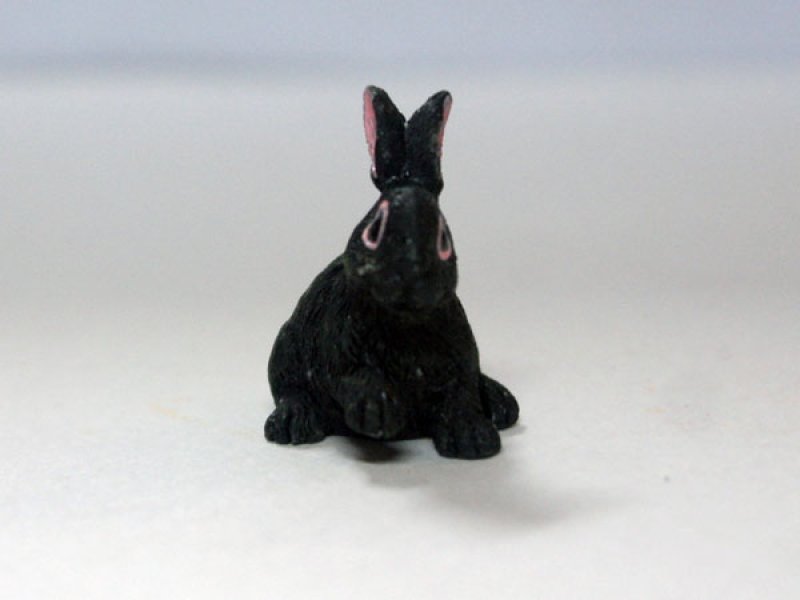 画像2: ラビット (2)