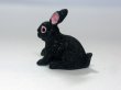画像3: ラビット (3)